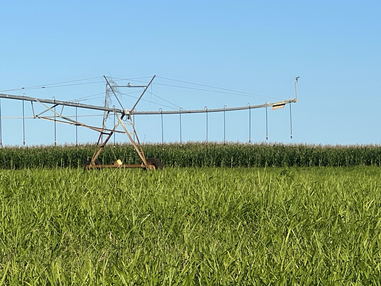 Sistema de riego por pivote en campo de Agricorp